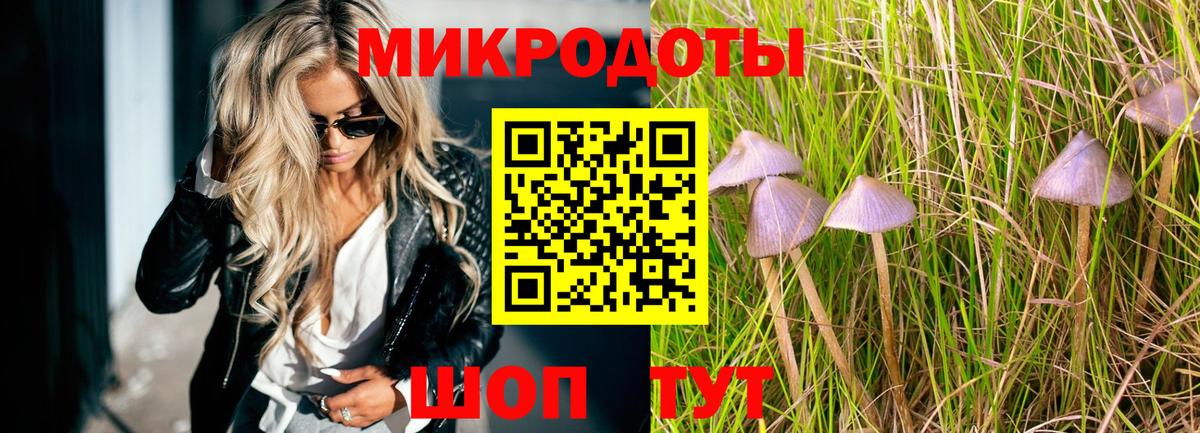 Саров  Псилоцибиновые грибы GOLDEN TEACHER  Вход с VPN 